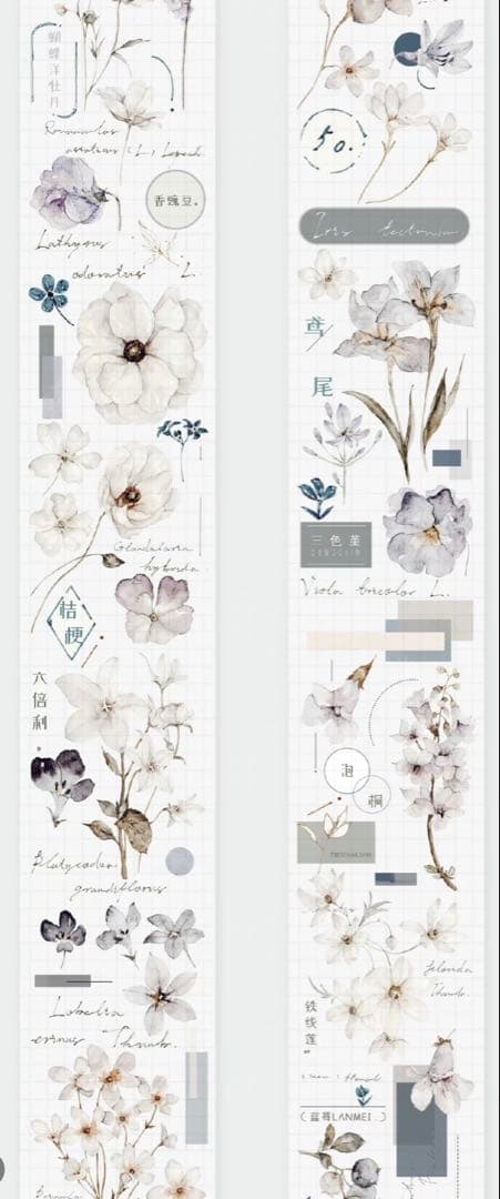 《在庫ラスト最終値下げ》海外 マスキングテープ雀斑茶 6点⚠️pet（33.324