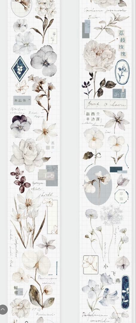 《在庫ラスト最終値下げ》海外 マスキングテープ雀斑茶 6点⚠️pet（33.324