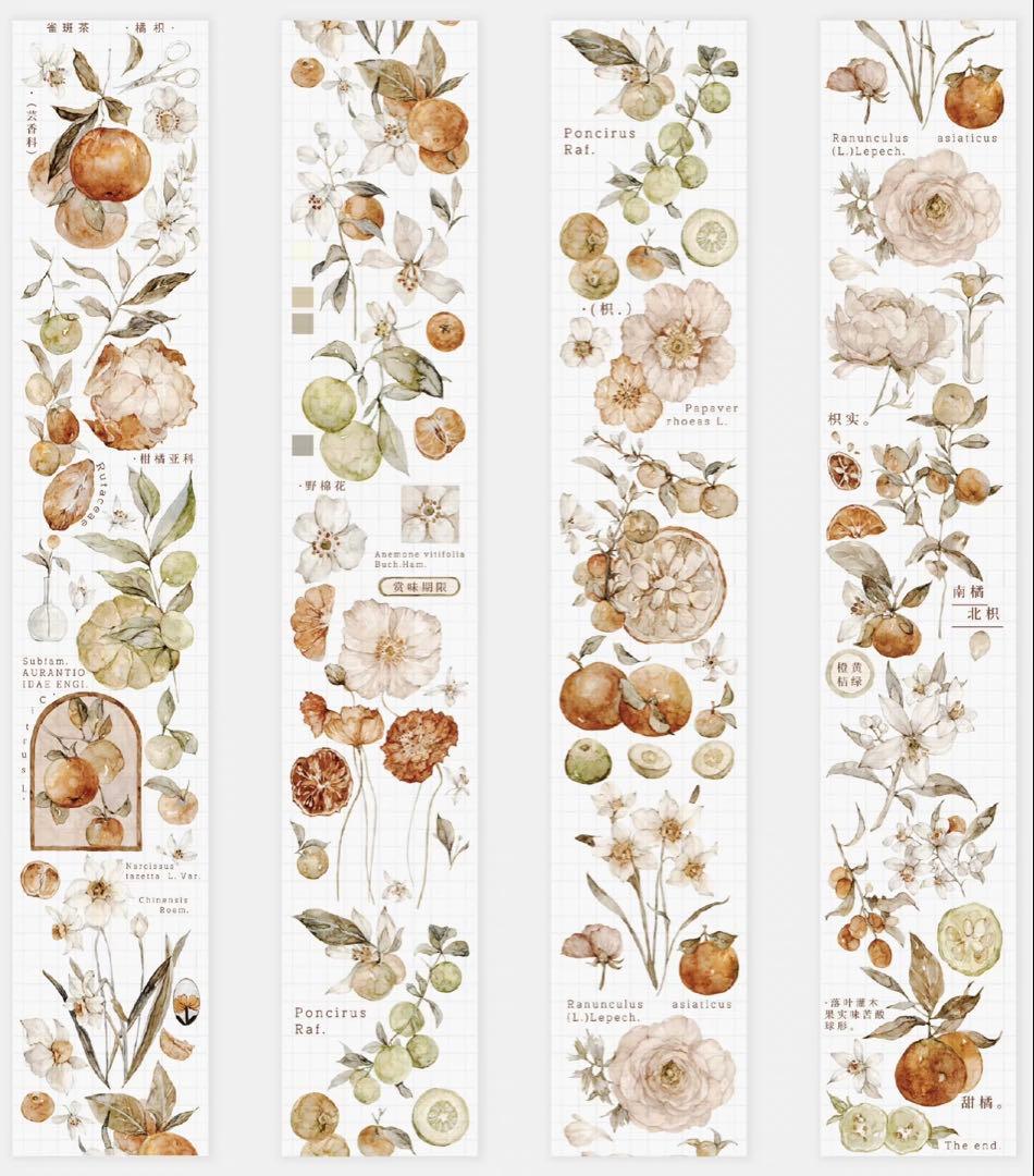 《在庫ラスト最終値下げ》海外 マスキングテープ雀斑茶 6点⚠️pet（33.324