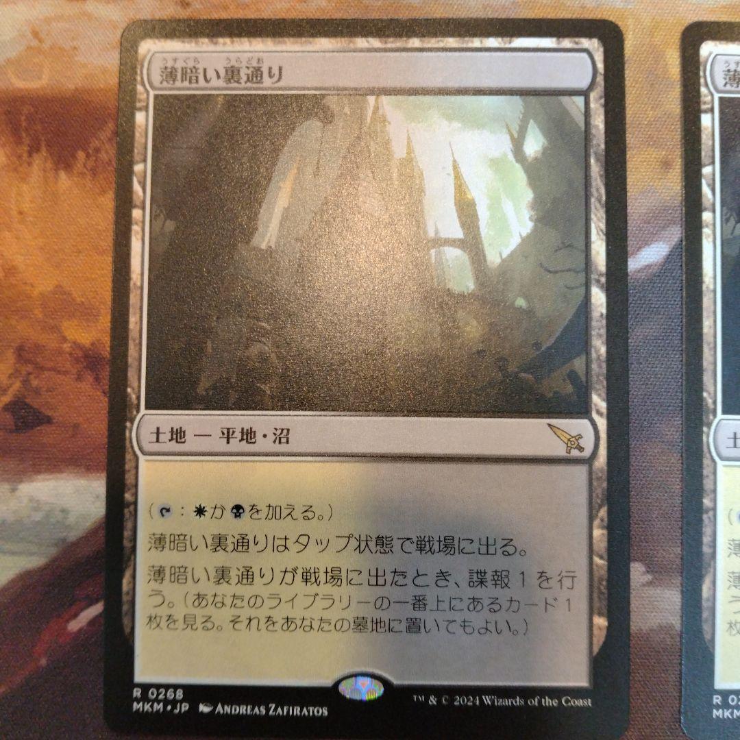 薄暗い裏通り 日本語 3枚セット（１枚はボーダーレス版）