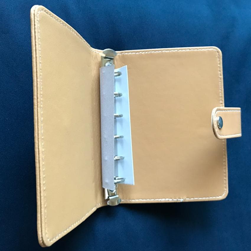 ☆ＺＡＲＤ　坂井泉水　「非売品　初期のZARDバンドの販促品」