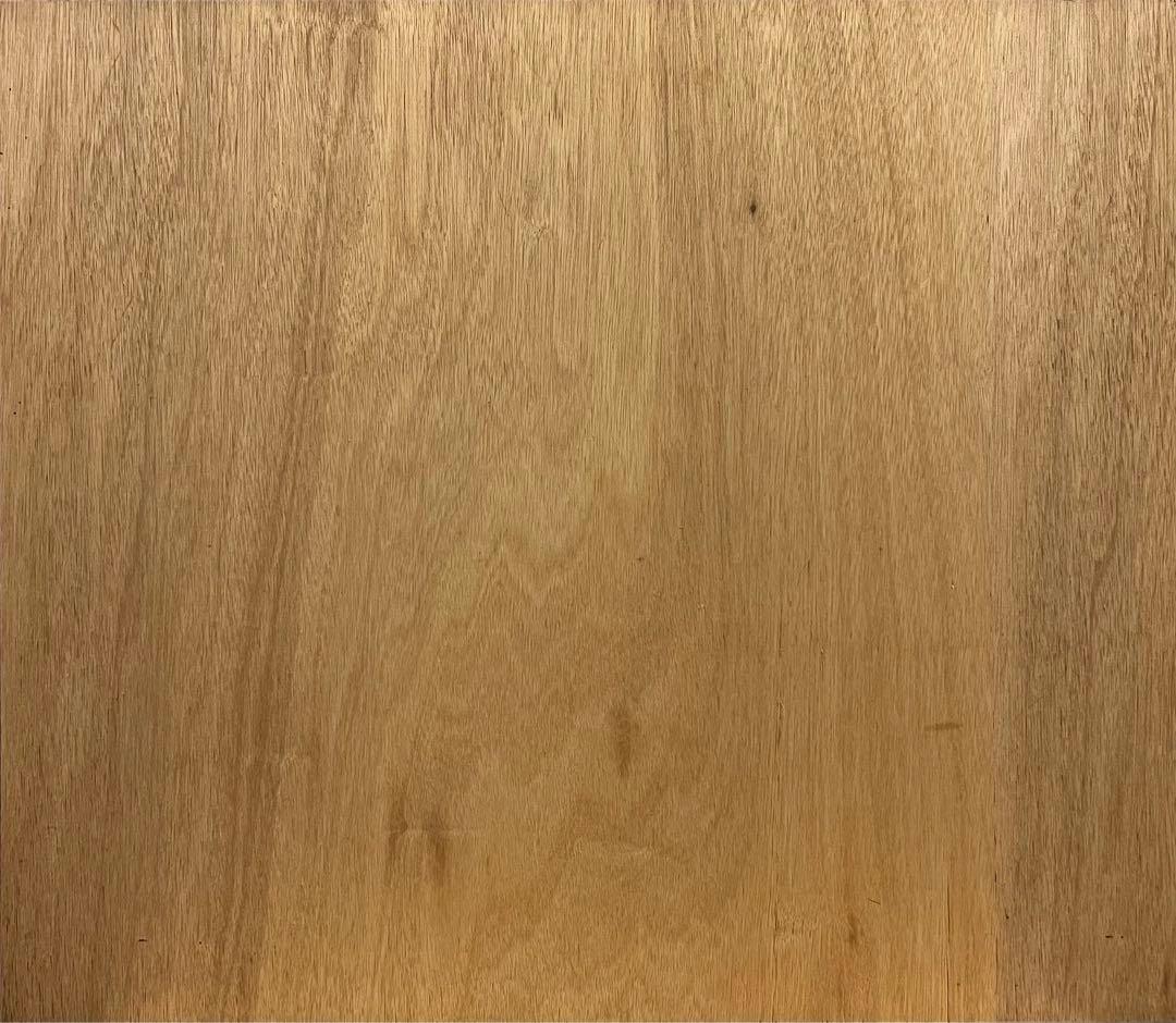 ソーシャルディストーション ポスター フレーム 2枚 シリアルナンバー