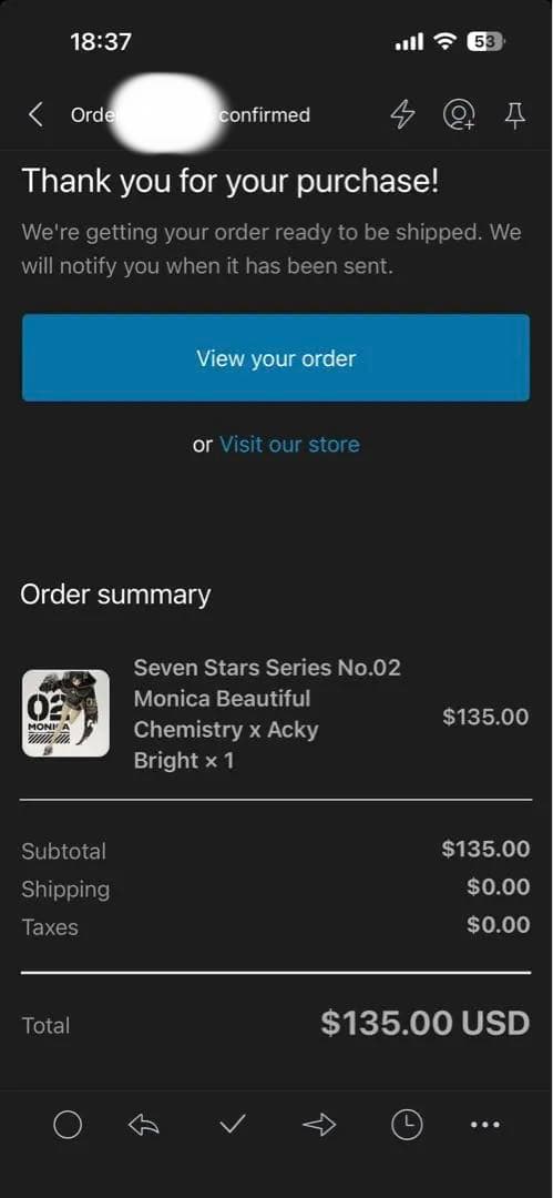 【新品未開封】Acky Bright 02 MONICA 可動フィギュア