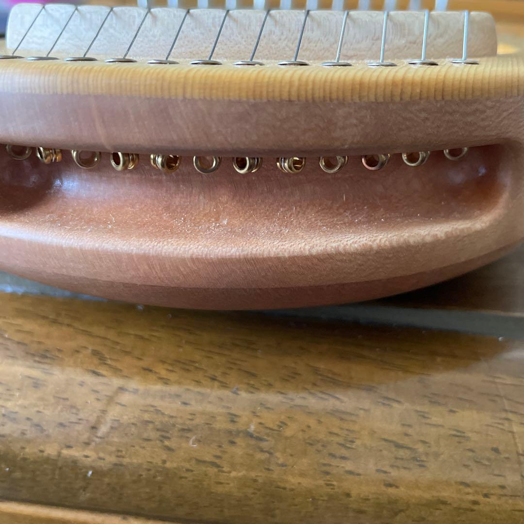 英円楽器 ライア 12弦