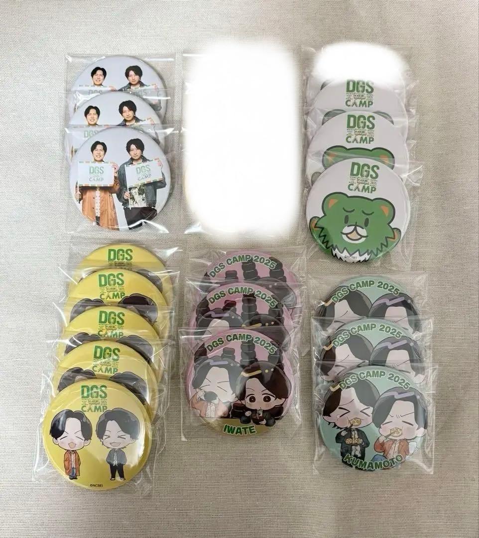DGS CAMP くじ 缶バッジ