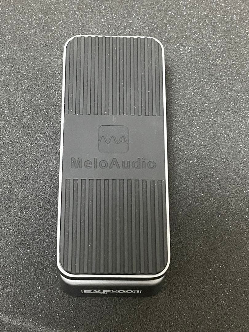 ギター MeloAudio EXP-001