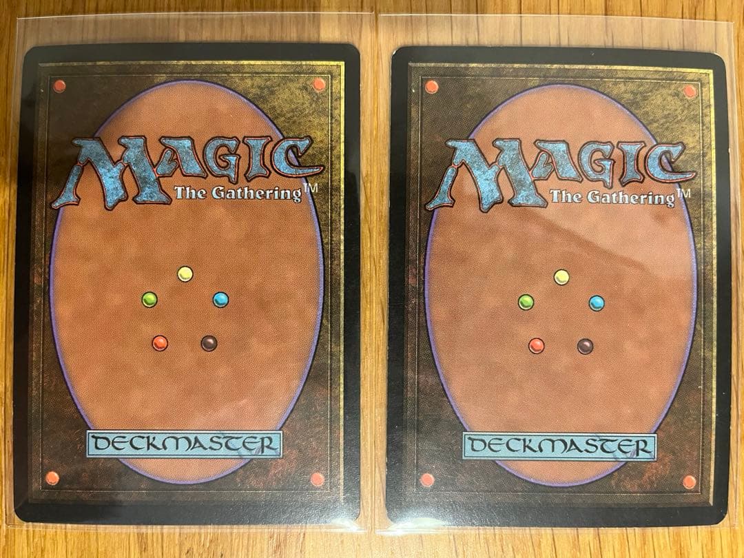 親身の教示者/Personal Tutor 日本語2枚セット