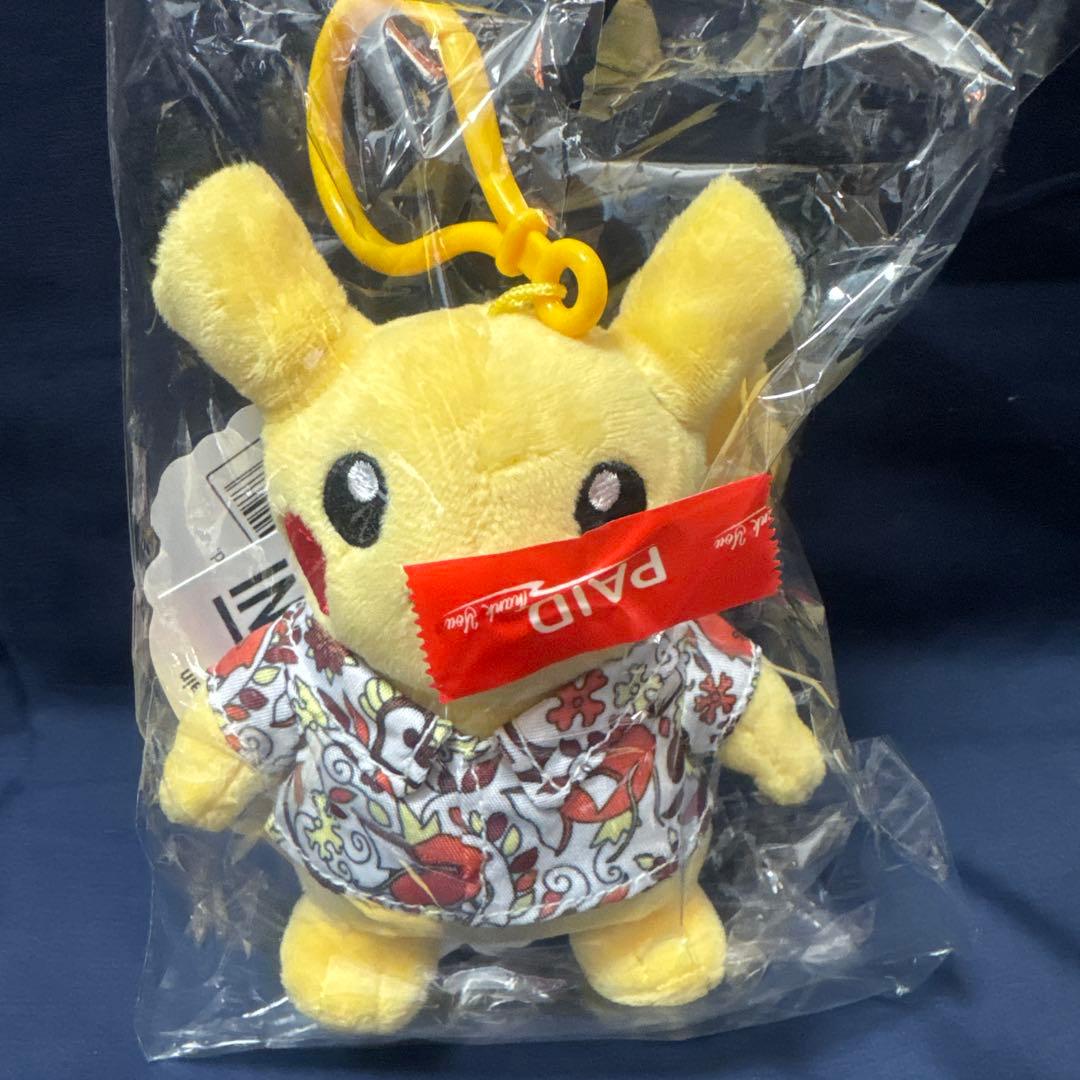 インドネシア　ピカチュウ　ぬいぐるみ　5点セット