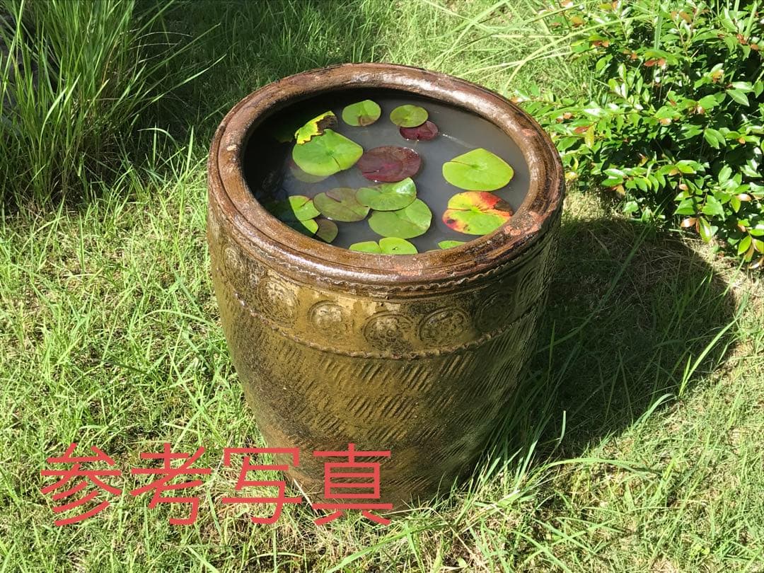 睡蓮鉢　金魚鉢　メダカ鉢　縦長中サイズ①