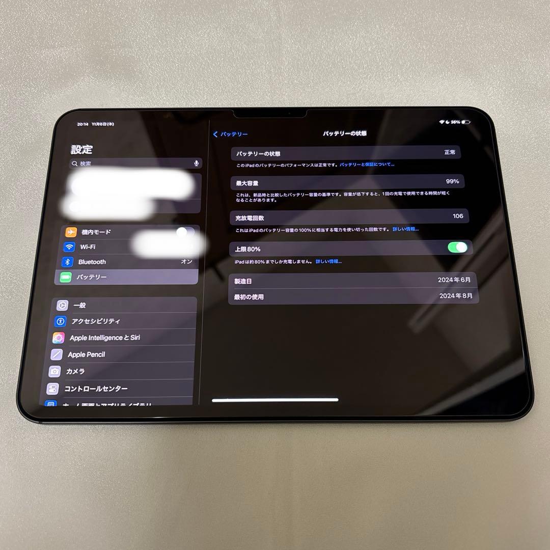 ぶ*ち様 M4 iPad Pro 11インチ WiFi 256GB スペースブラ