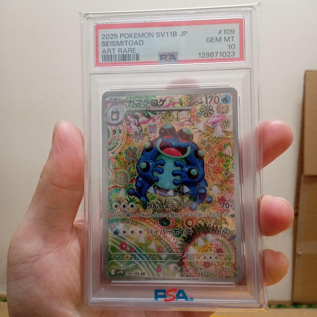 ガマゲロゲAR ＰＳＡ１０