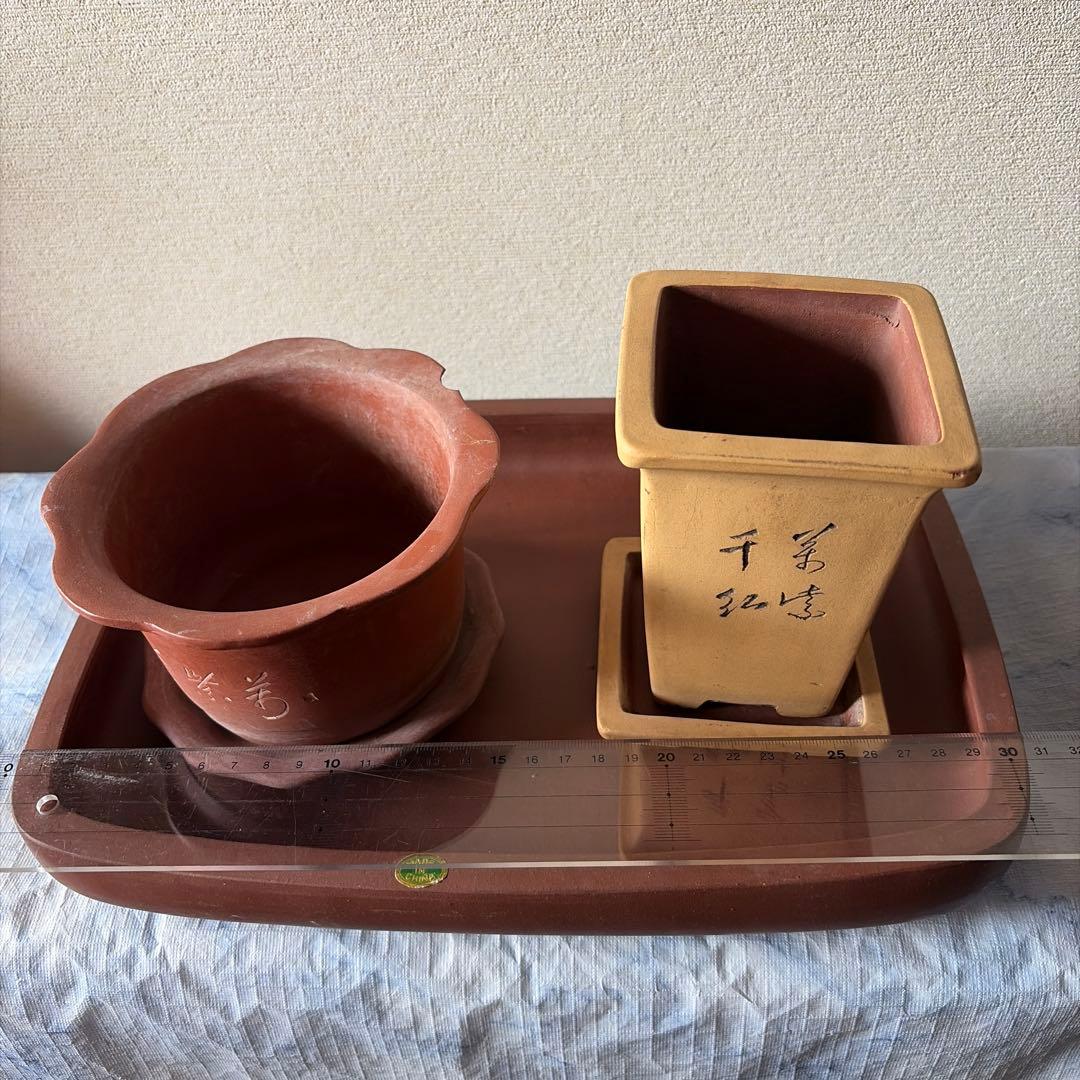 植木鉢　中国宜興　宜興　朱泥　盆栽