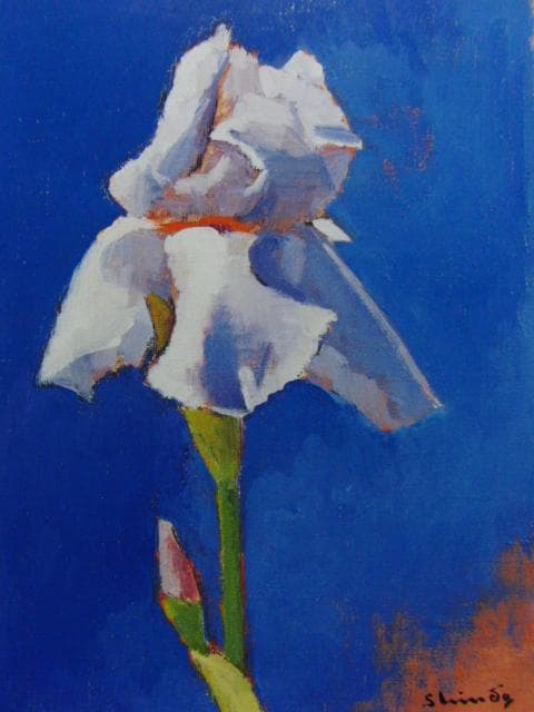 進藤蕃、ジャーマンアイリス、希少画集画、新品高級額・額装付