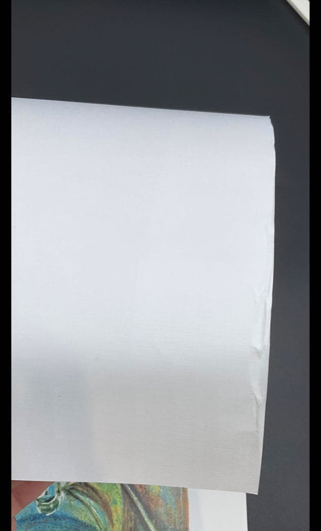 【訳あり】愛しのベラ マルク シャガール リトグラフ 500部 限定 証明書有り