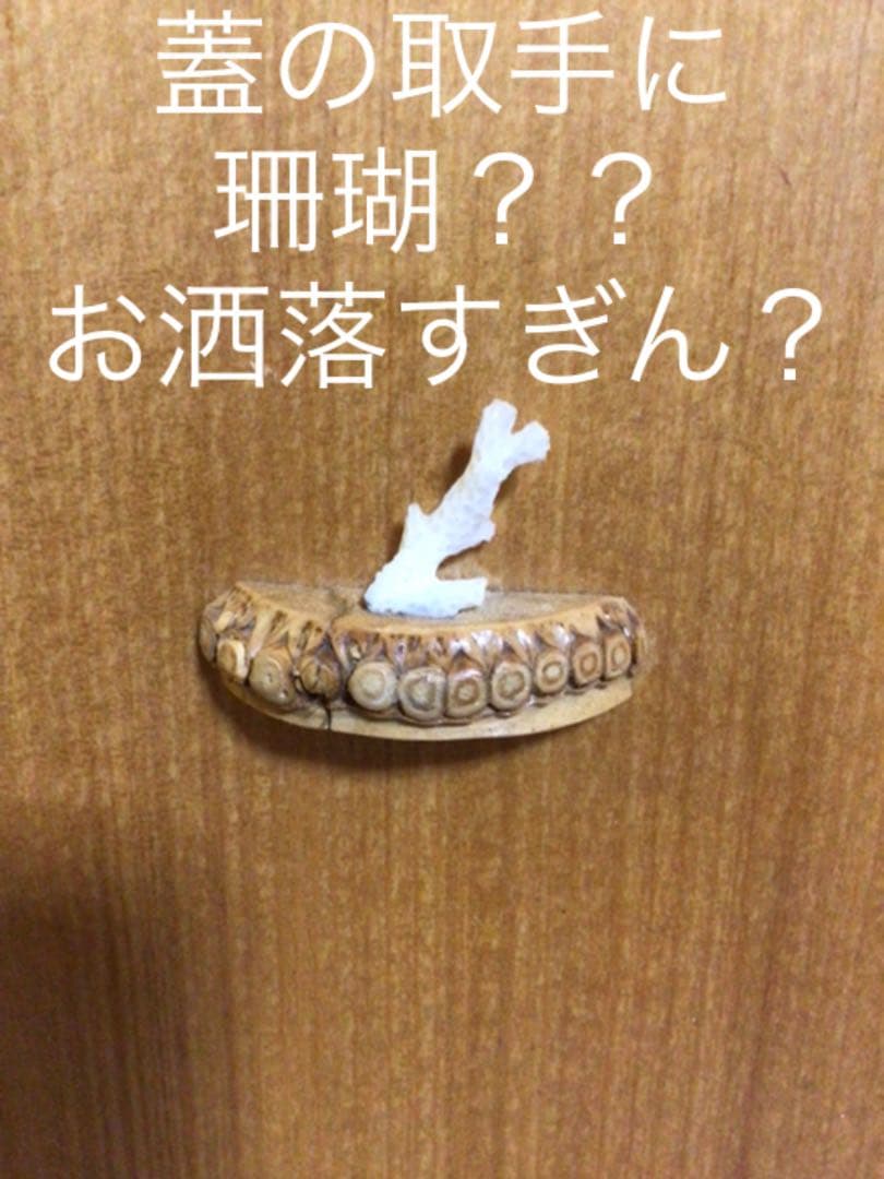 茶道具 変わり茶箱　お洒落　蓋についてる珊瑚？可愛い…