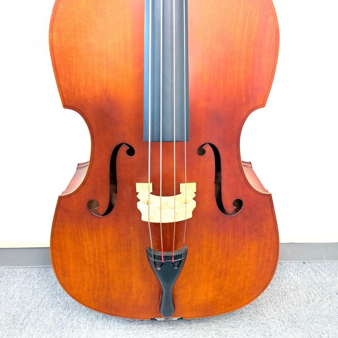 Hallstatt コントラバス WBS-800