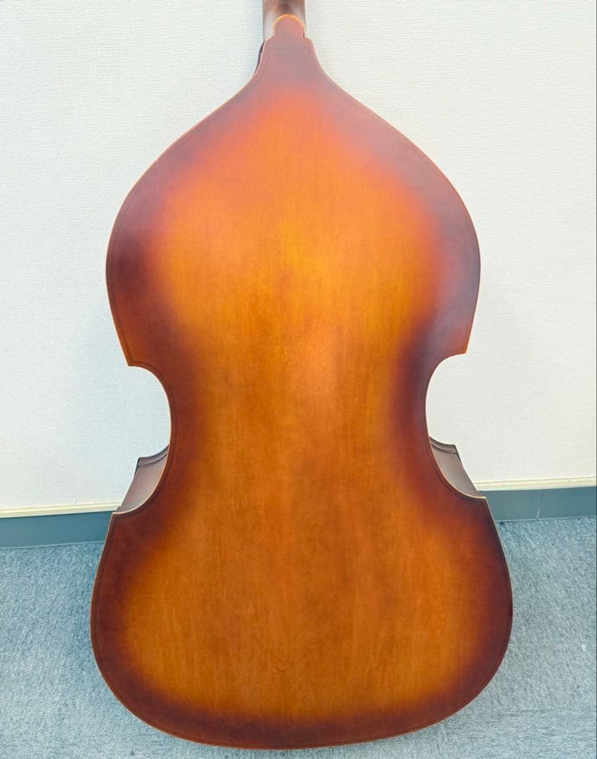 Hallstatt コントラバス WBS-800