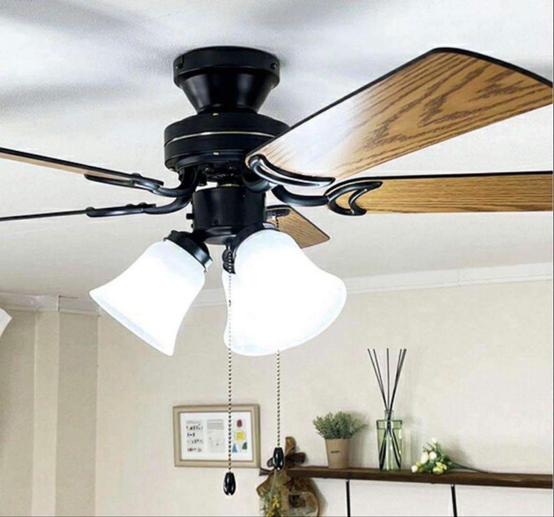 5枚羽根 リバーシブル シーリングファン 黒 LED電球付き