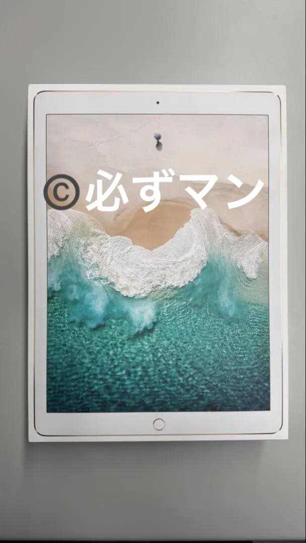 iPad Pro 12.9インチ Wi-Fi 512GB 第2世代