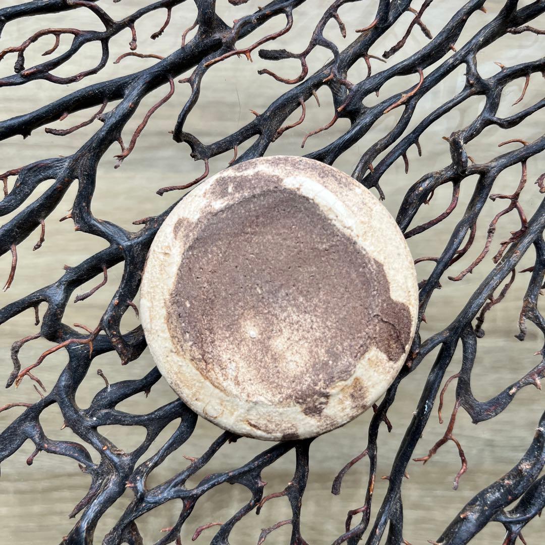 骨董　古陶　絵瀬戸　古瀬戸　希少　ブチ猫　眠り猫 図案　豆皿　手塩皿　小皿５客