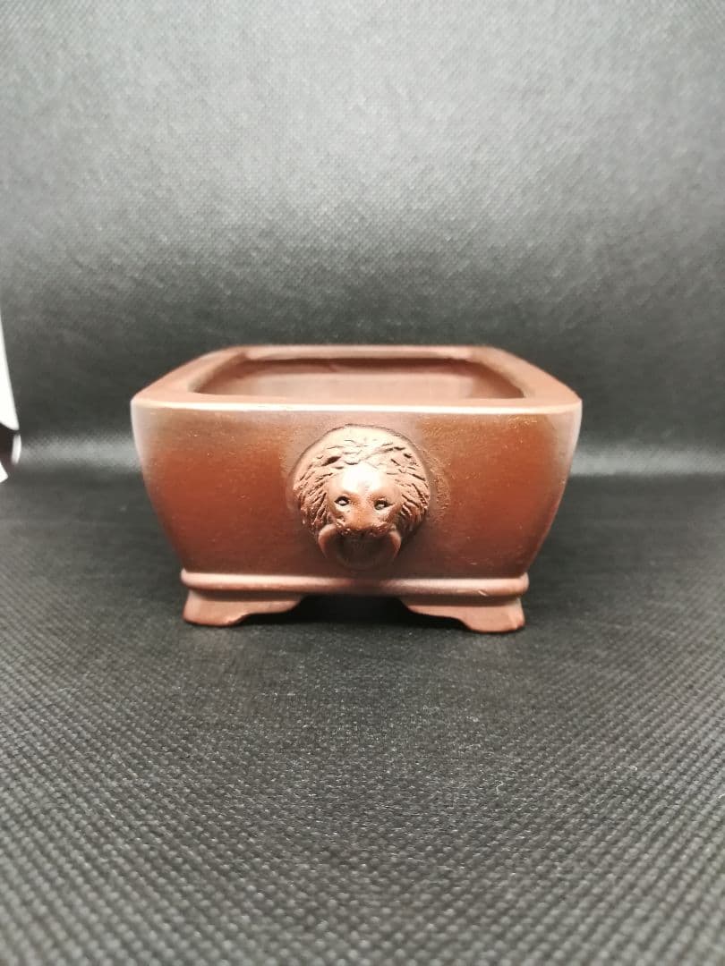 小品盆栽鉢 / 作家：美芸