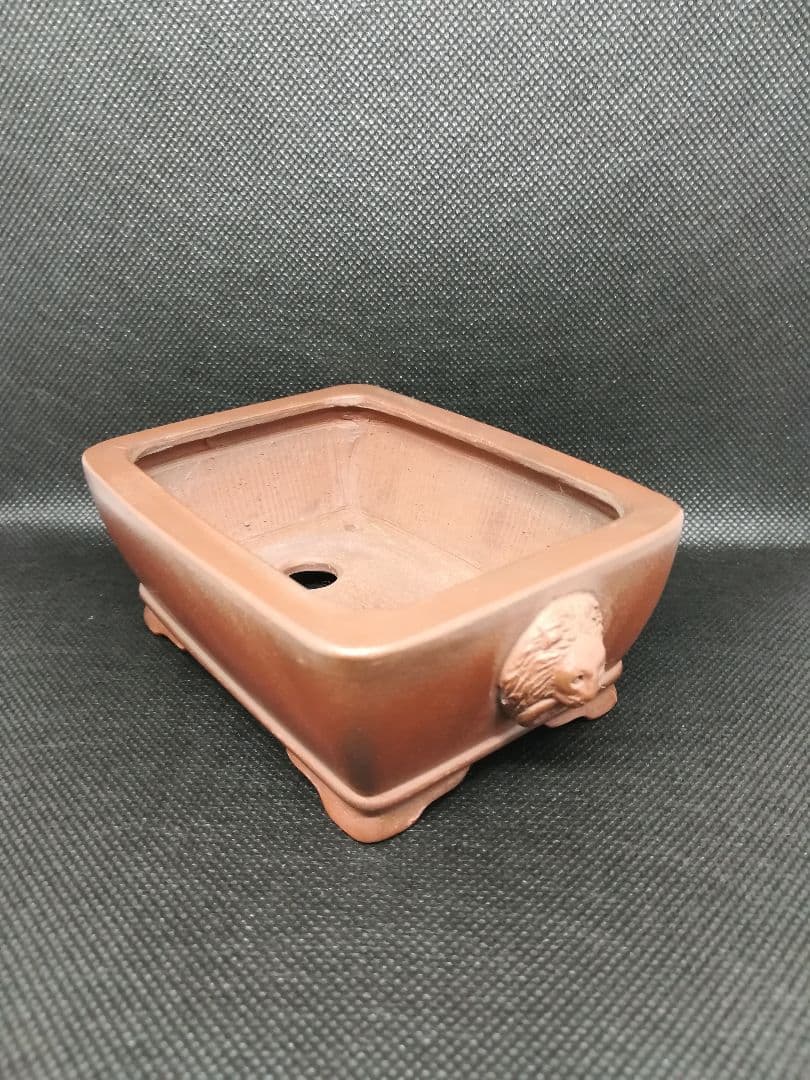 小品盆栽鉢 / 作家：美芸