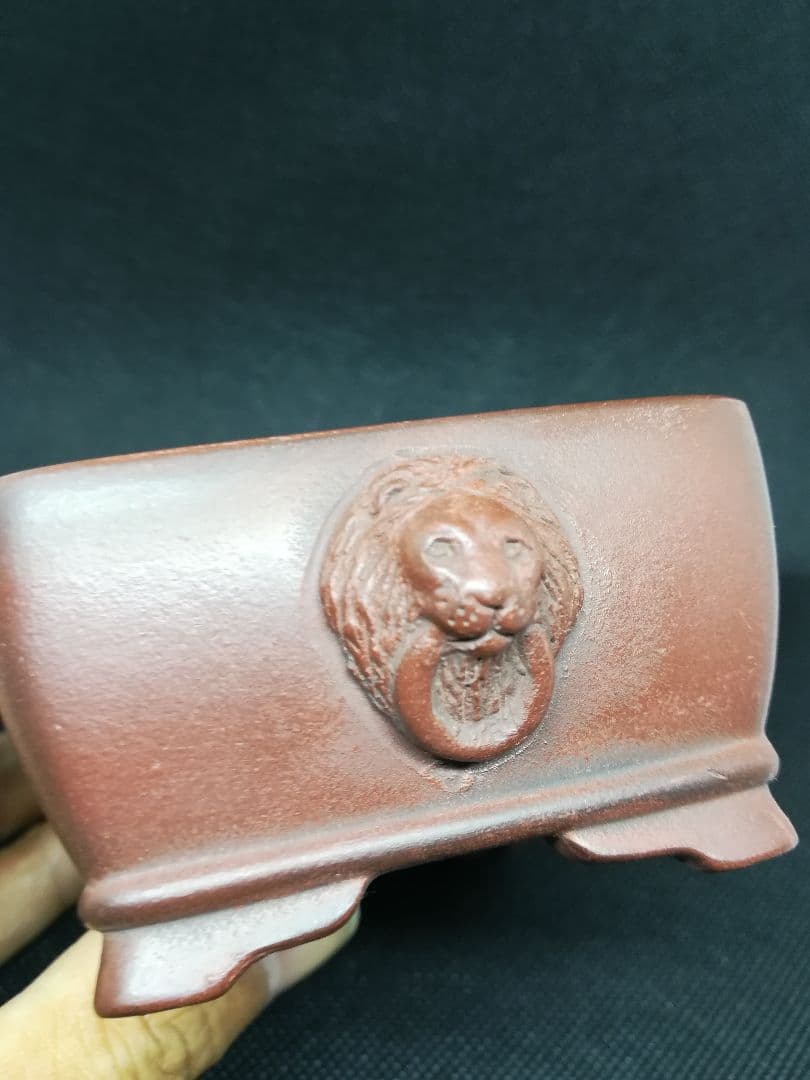 小品盆栽鉢 / 作家：美芸