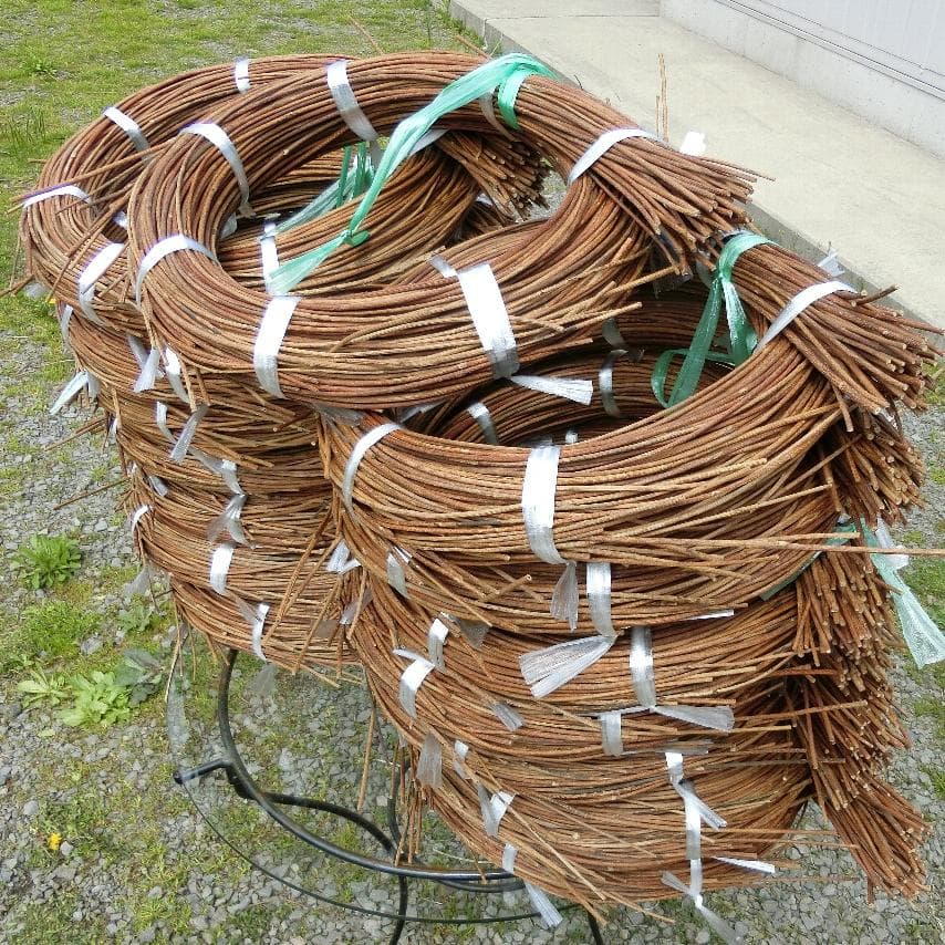 黄色いくまさん　青森岩木山採取　あけび蔓　150cm～ 15kg　1