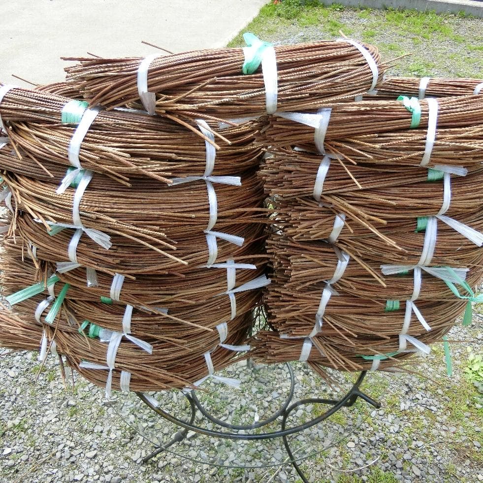 黄色いくまさん　青森岩木山採取　あけび蔓　150cm～ 15kg　1