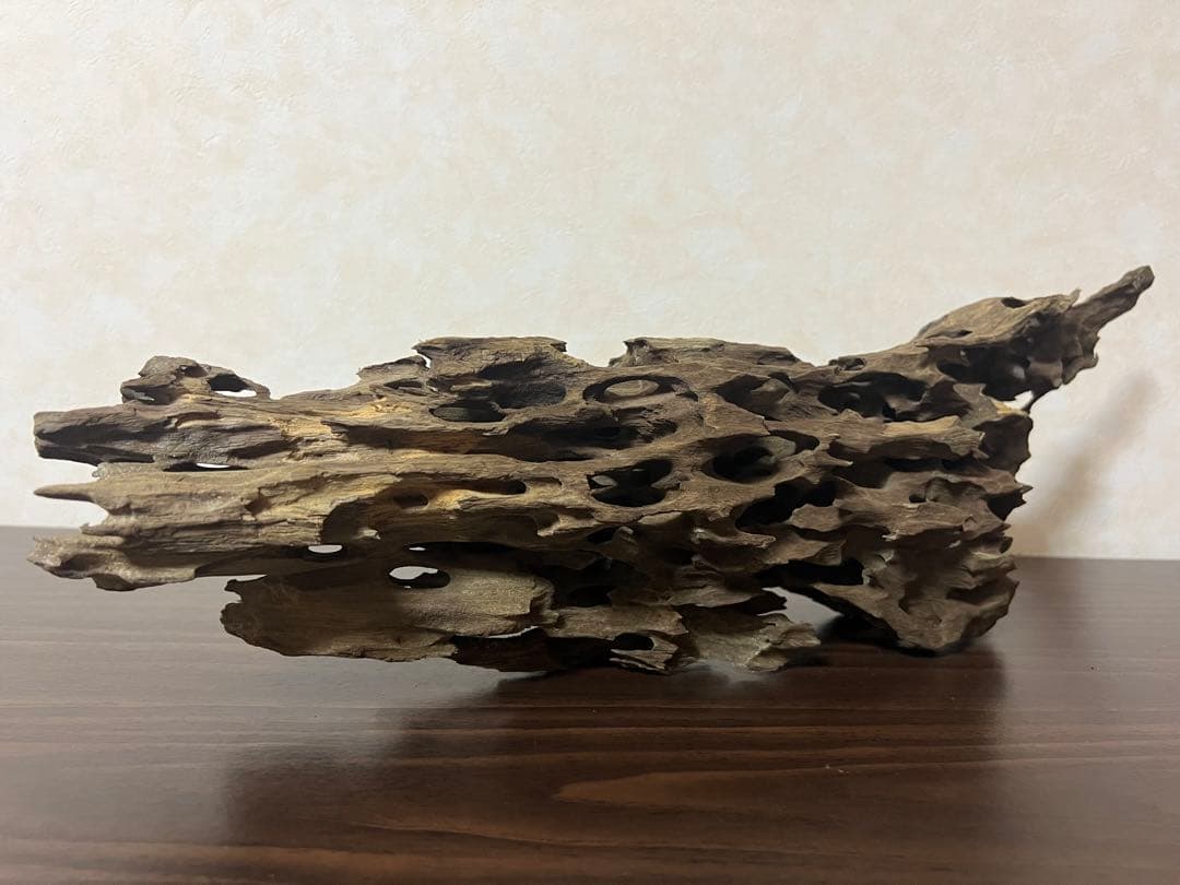 XM-456 流木　マシンガンウッド　アクアリウム　ブランチウッド　沈水確認済