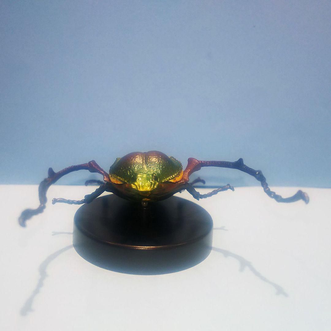 ヤンバルテナガコガネ 国立科学博物館