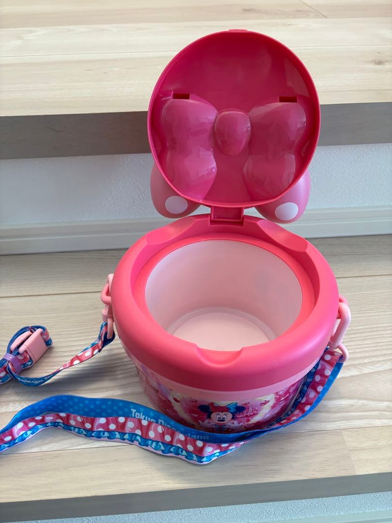 パルパルーザ ミニーのファンダーランドポップコーンバケット