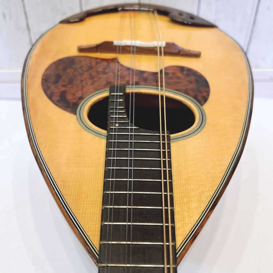 【極美品・限定1本】SUZUKI マンドリン　M-30 ハードケース　スズキ