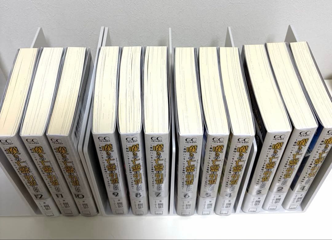 嘆きの亡霊は引退したい 1〜12巻セット