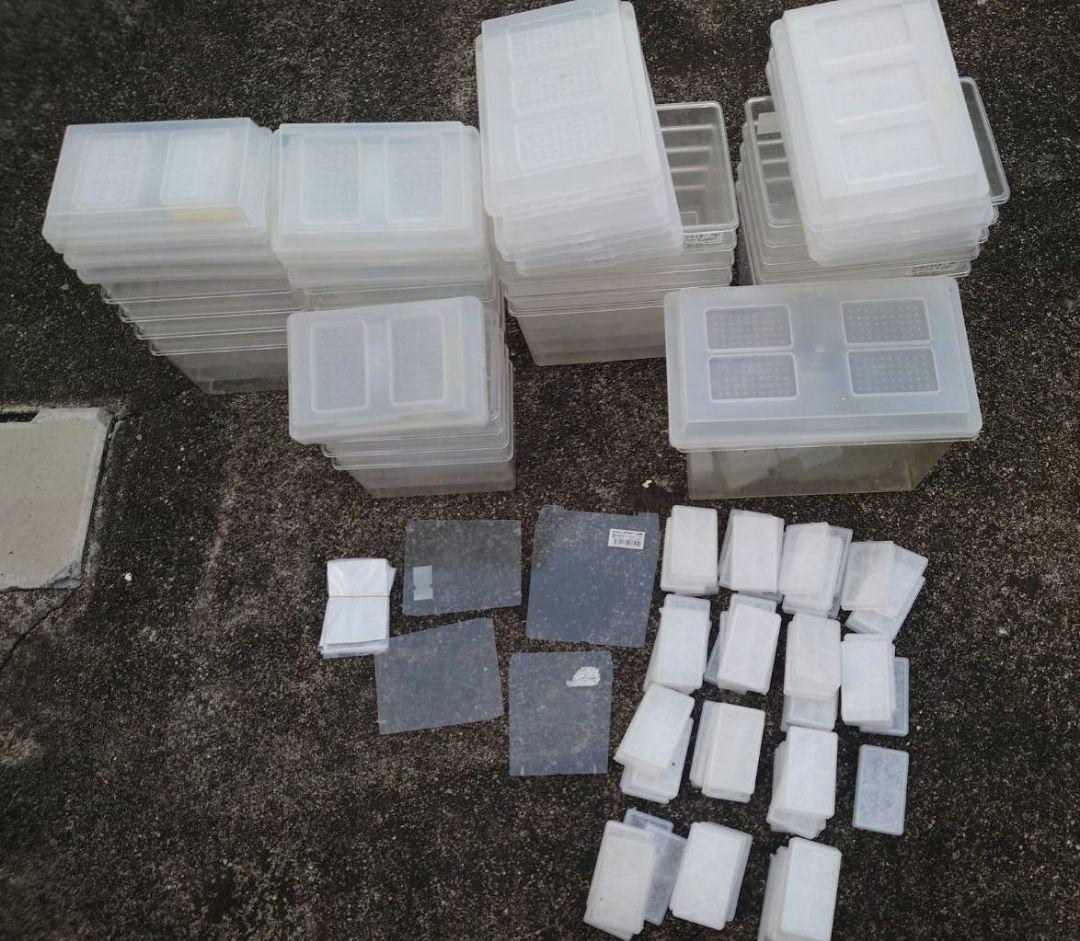 コバエシャッター まとめ売り