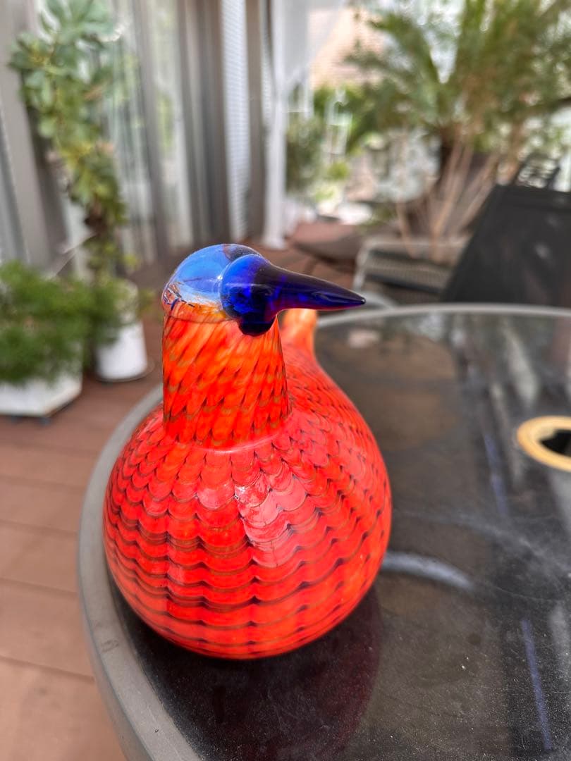 イッタラ　オイバトイッカRainbow Tern