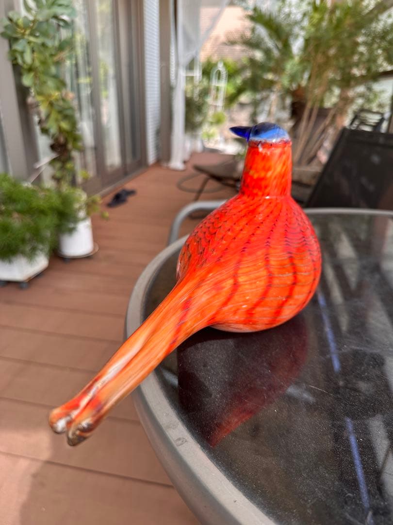 イッタラ　オイバトイッカRainbow Tern