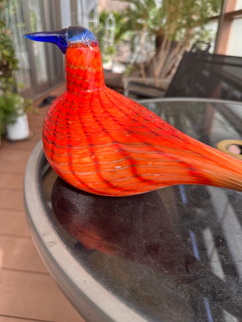 イッタラ　オイバトイッカRainbow Tern