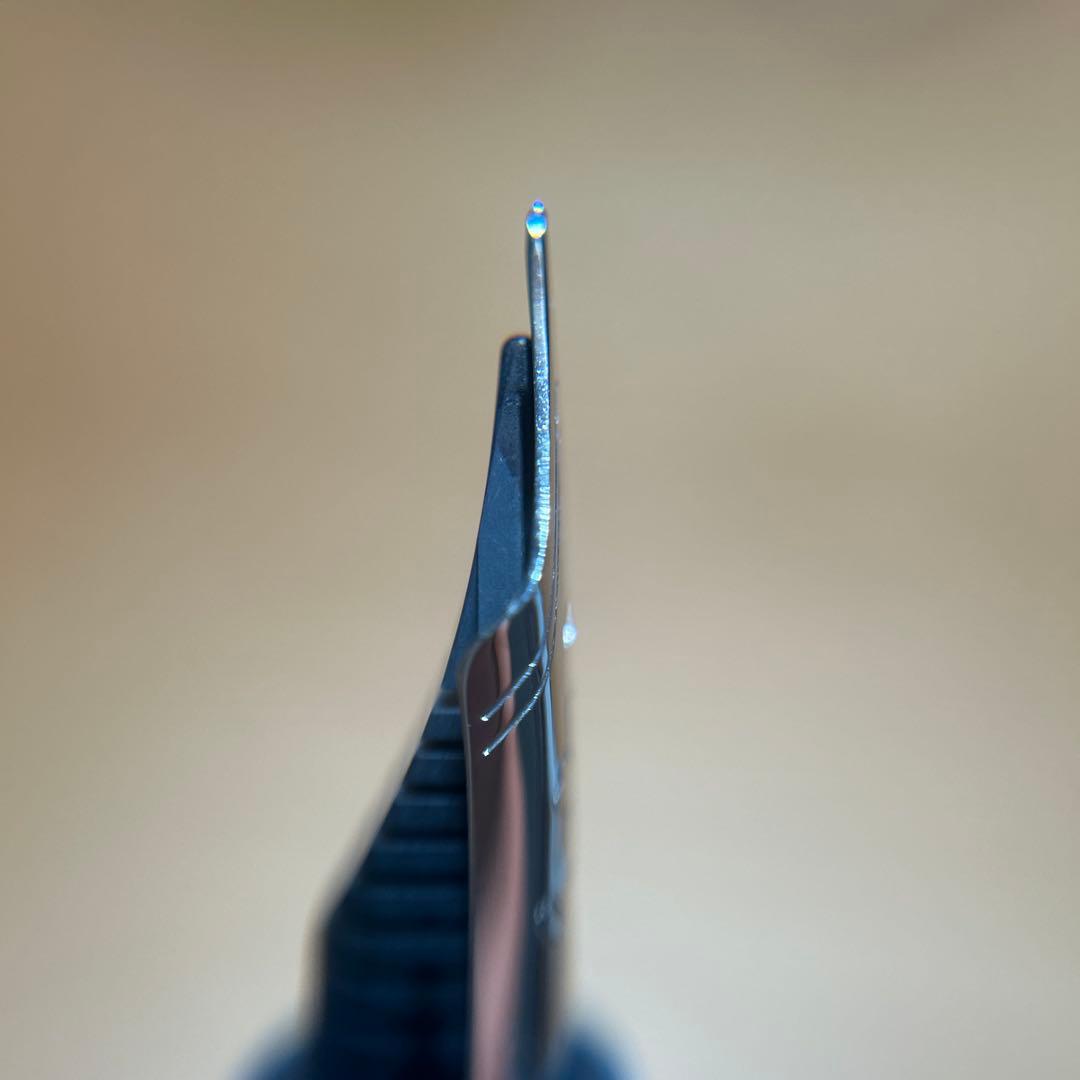 駿河湾春　文具館コバヤシ　プラチナ万年筆 センチュリー3776 EF 極細