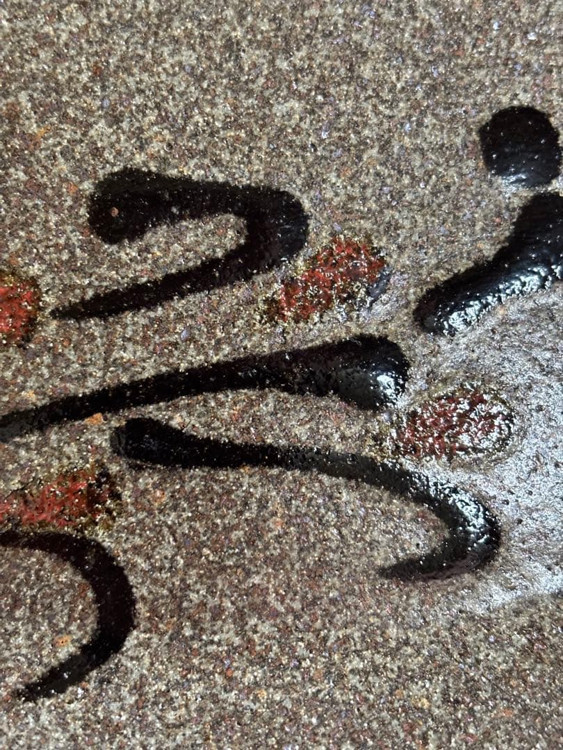 やまちゃん河井寛次郎作鉄赤釉草花文捻口八寸皿　検冬の森に咲く野草　一品物