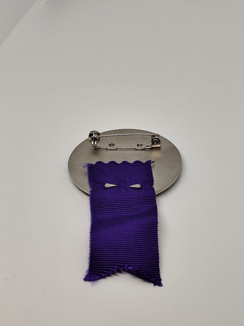 【激レア】107th IOC SESSION NAGANO 1998 バッジ