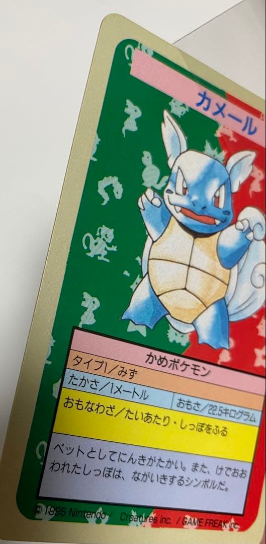 ポケモンカード トップサン エラー ナンバーレス 裏青 カメール