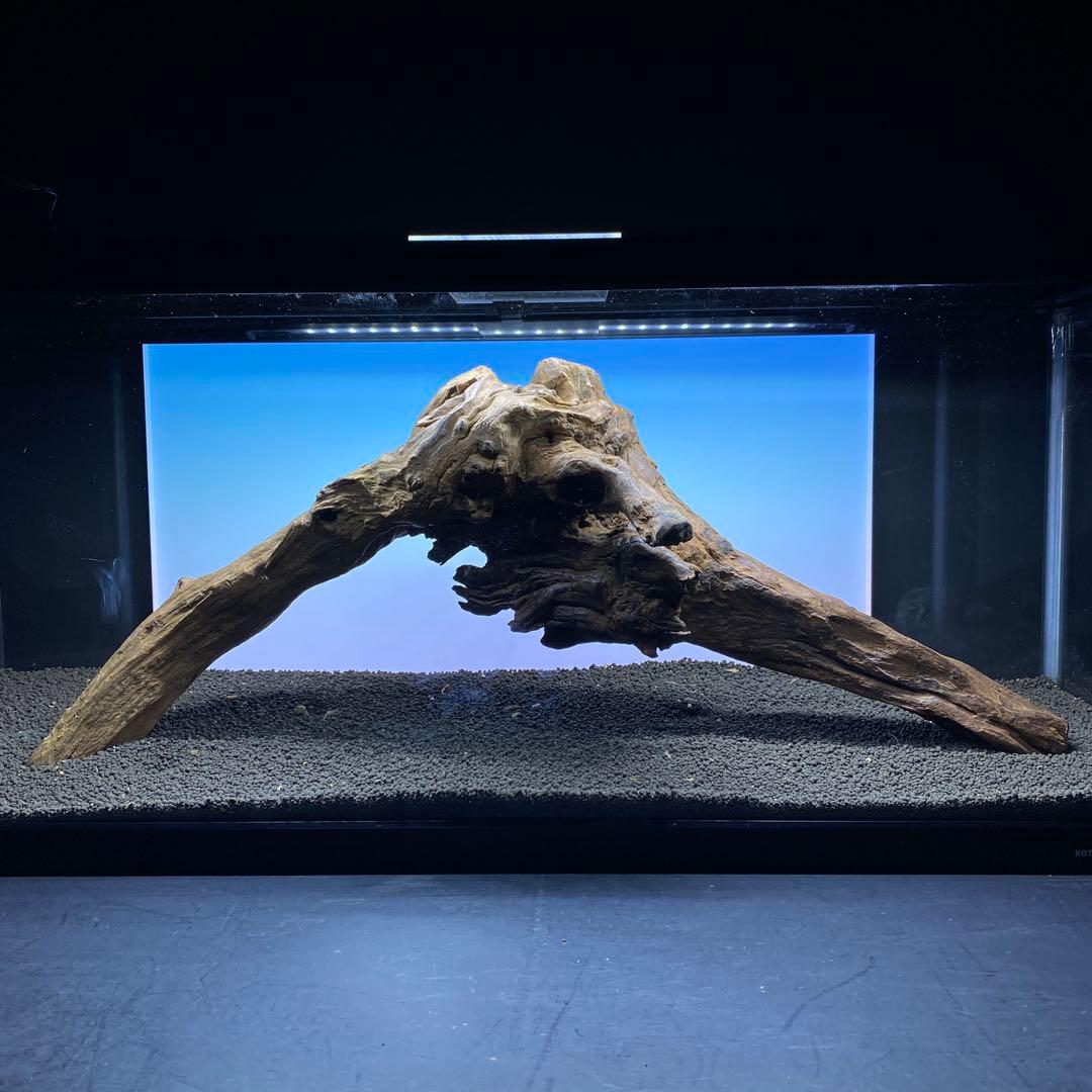 MRW-6332 特大自立赤系流木　アーチ流木　1点物　自立流木90cm水槽用