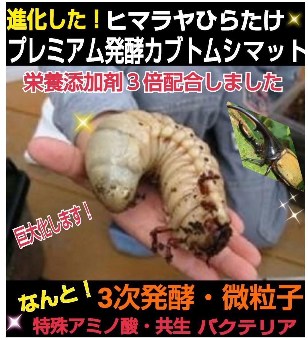 外国産カブトムシに抜群！特選☆プレミアム3次発酵マット【5袋】幼虫の餌、産卵に！