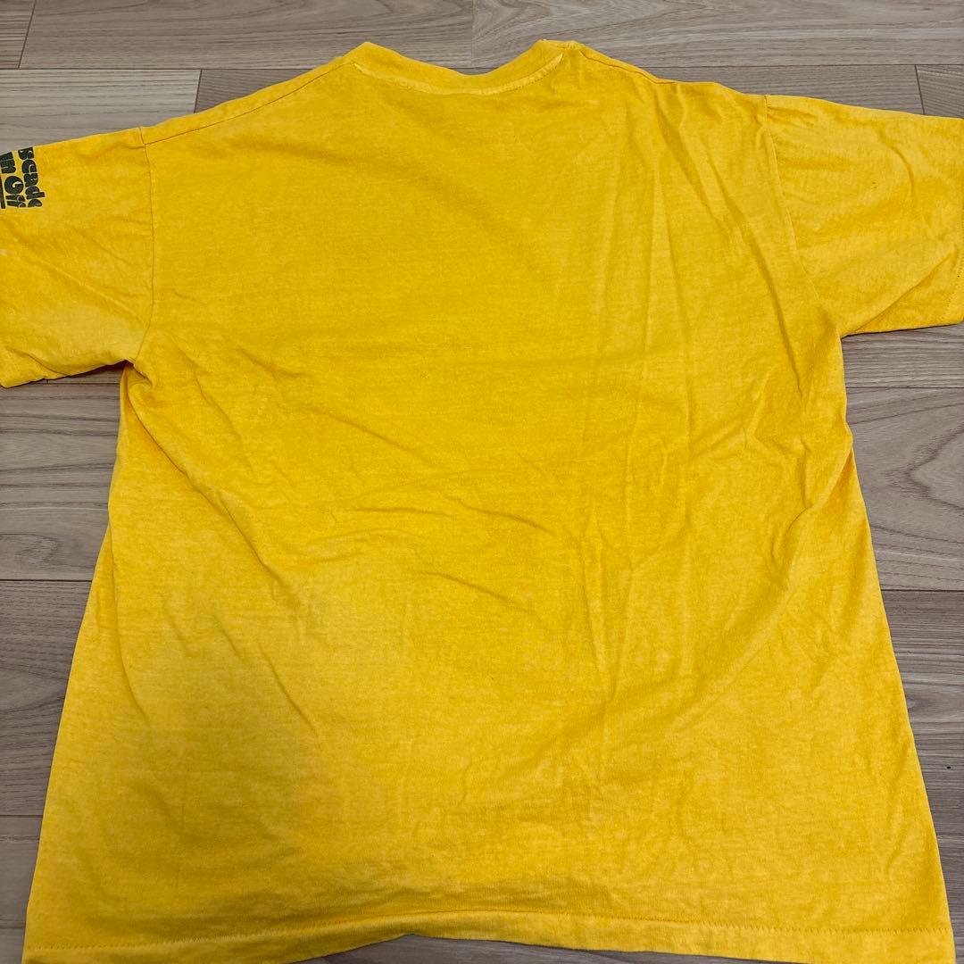 と*ん様 NIKE 浮世絵 Tシャツ80s シングルステッチ Cascade R