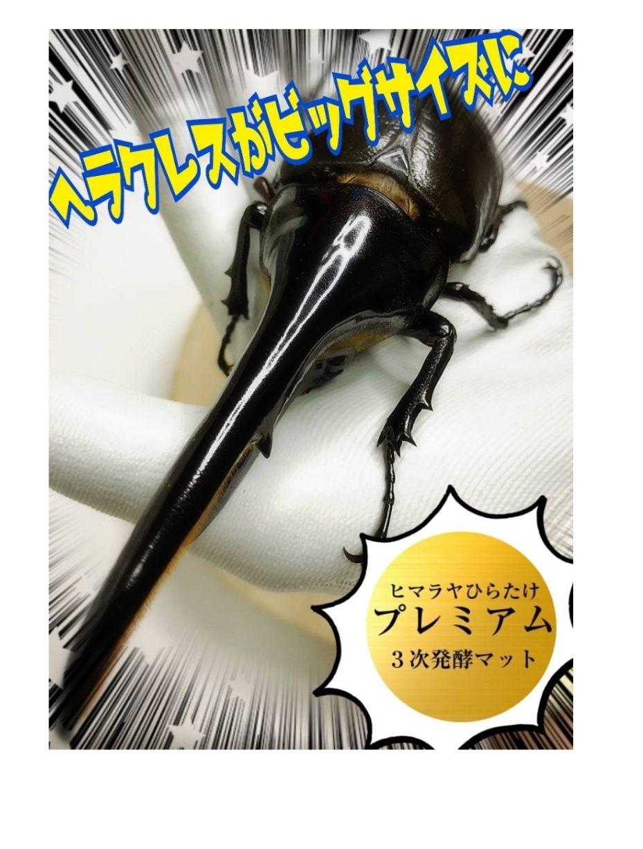 極上！プレミアム3次発酵カブトムシマット【50リットル】特殊アミノ酸強化配合！