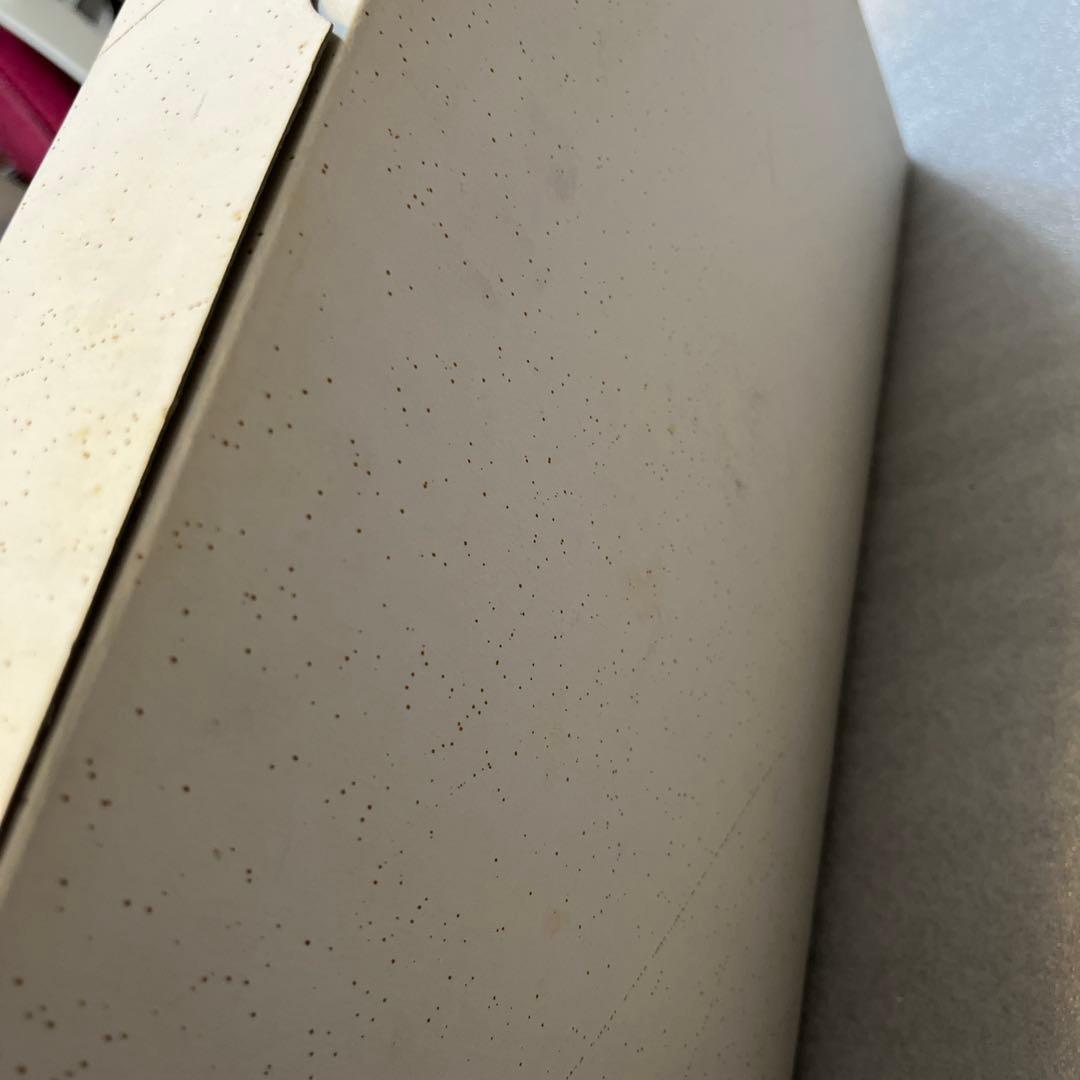 ボークス　バッシュ　1/100 重戦機エルガイム　ガレージキット 現状