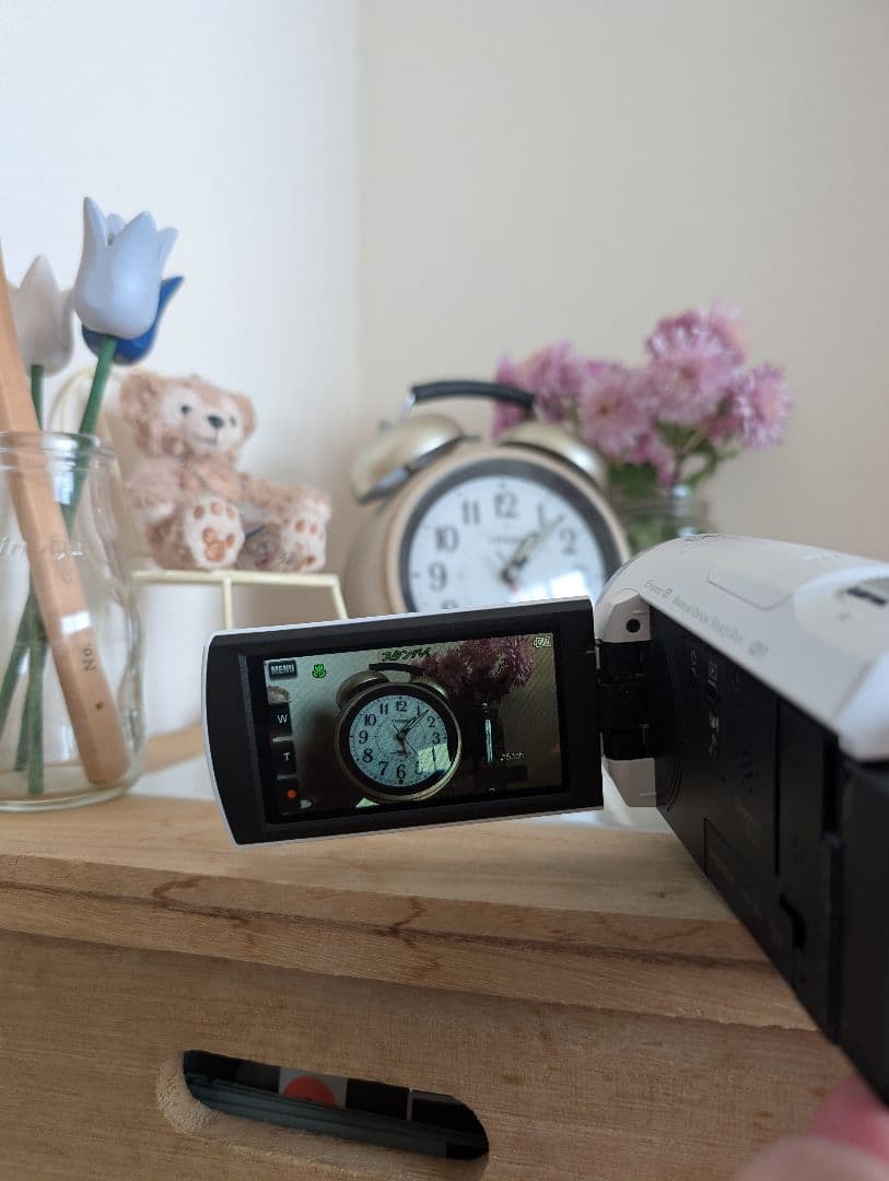 ビデオカメラ SONY Handycam HDR-CX675