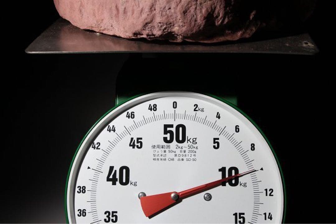 ☆クリスマス特価☆ 【入手困難】恐竜の卵　化石　ハドロサウルスの卵の巣　3個