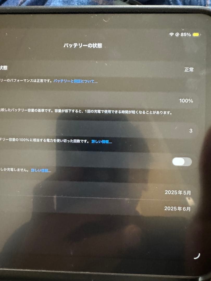 Apple iPad mini (A17 Pro) 本体